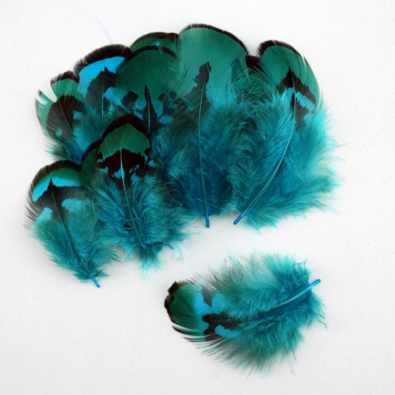 Wedding Supply In Bulk - Bulu Burung Pheasant Alami Warna Biru