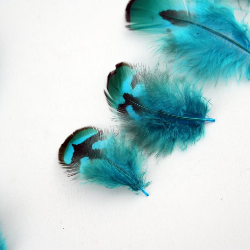Bulu Burung Pheasant Alami War - Wedding Supply In Bulk ulasan dan harga
