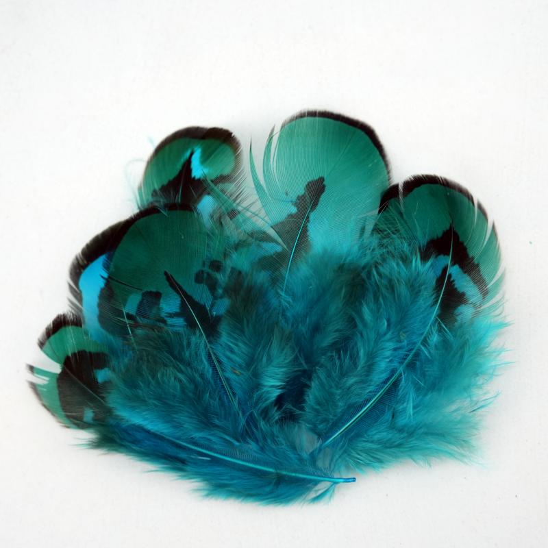 Bulu Burung Pheasant Alami War - Wedding Supply In Bulk ulasan dan harga