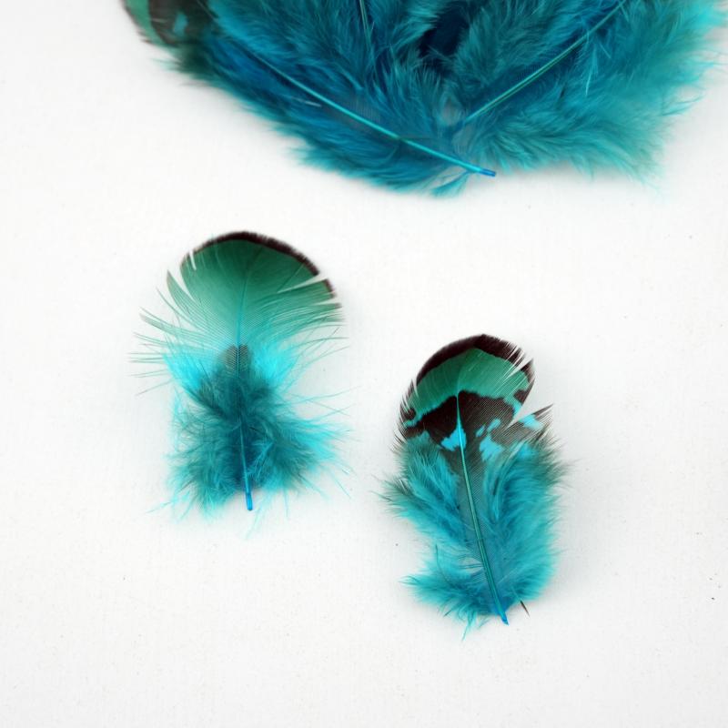 Bulu Burung Pheasant Alami War - Wedding Supply In Bulk ulasan dan harga