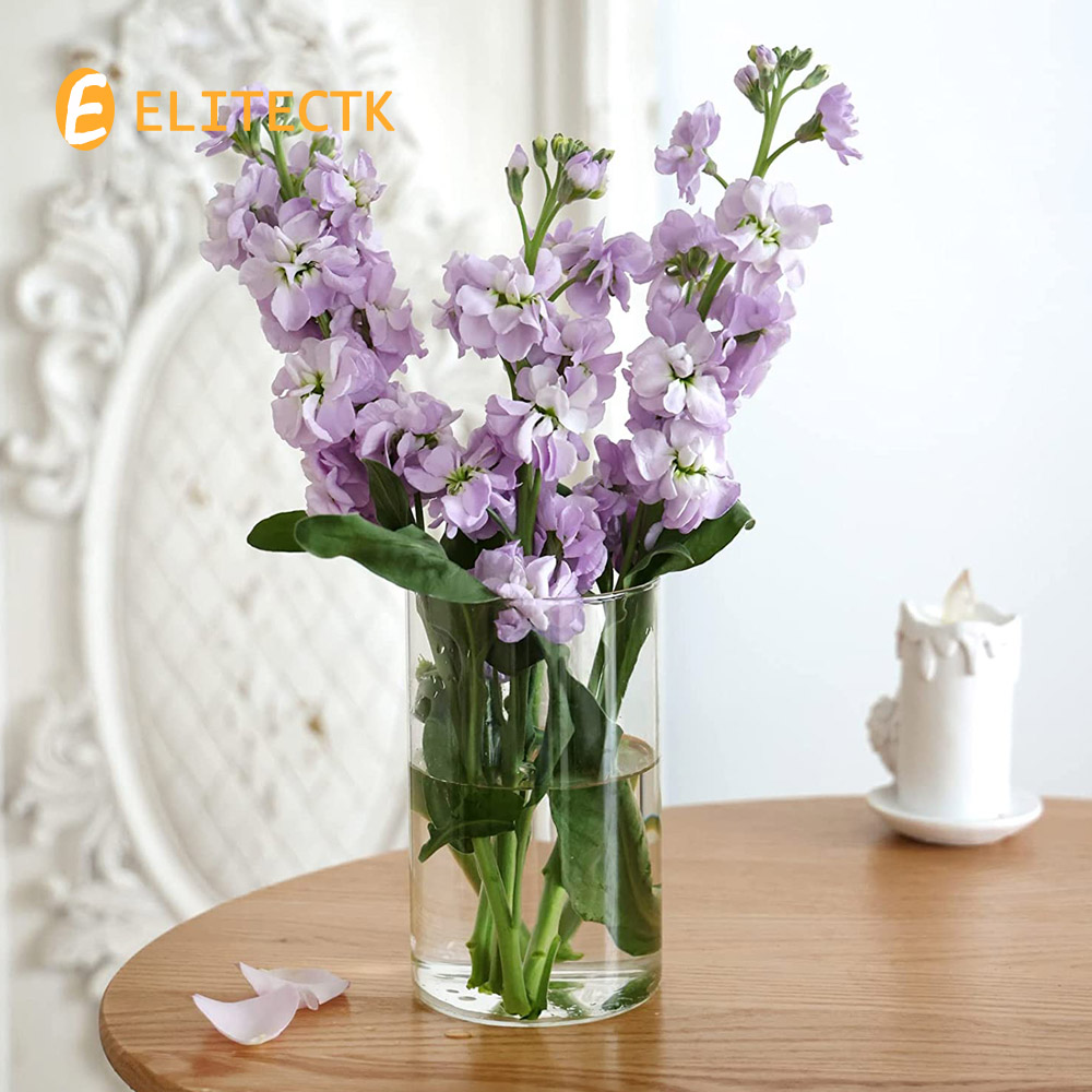 Vas kaca silinder Hurricane te - Centerpiece Vase Tall ulasan dan harga
