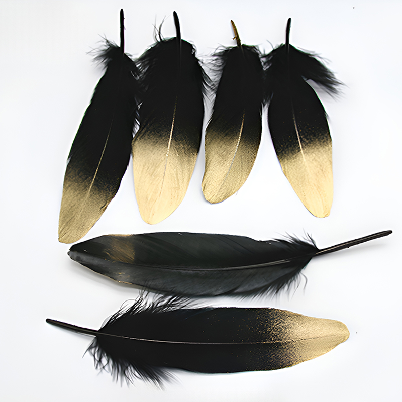 15-20Cm Bulu Hitam Putih denga - Centerpiece Vase Tall ulasan dan harga